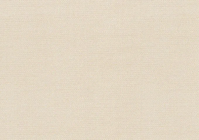 Solids Canvas 5453