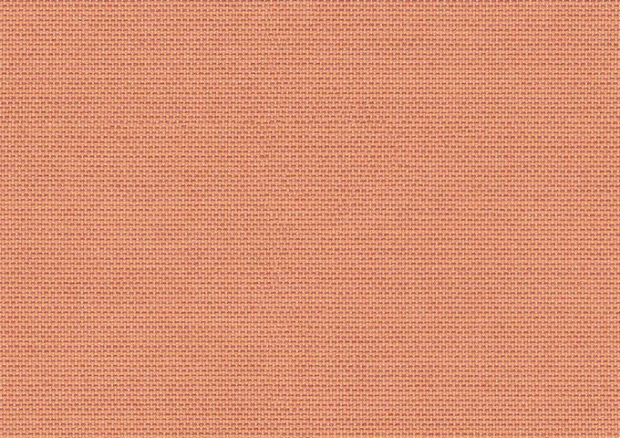 Solids Coral P101