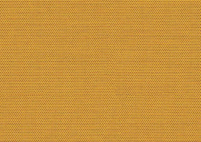 Solids Curcuma P106