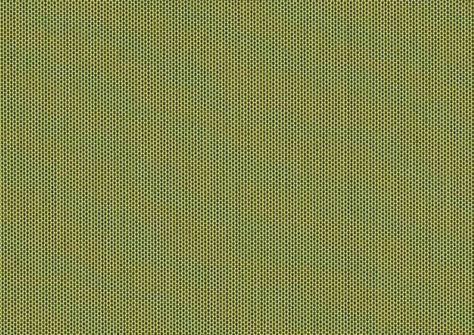 Solids Lichen 3970