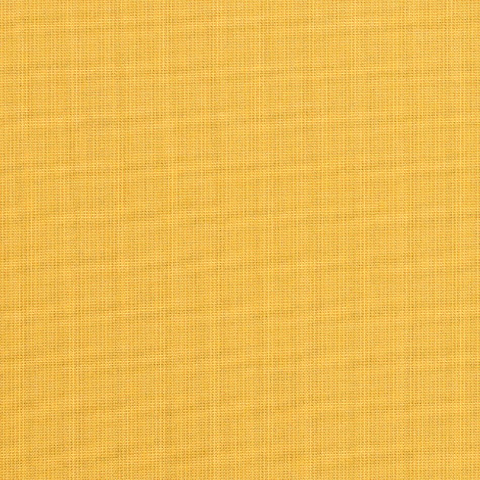Spectrum Daffodil